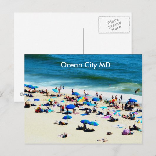 海シティmd ポストカード (正面/裏面)