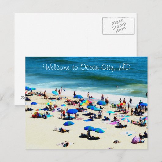 海シティmd ポストカード (正面/裏面)