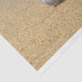 海ショアシーシェルデクページティッシュペーパー 薄葉紙 (詳細)