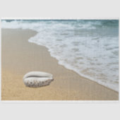 海ショアシーシェルデクページティッシュペーパー 薄葉紙 (正面)