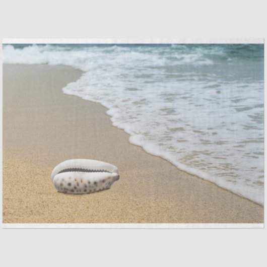 海ショアシーシェルデクページティッシュペーパー 薄葉紙 (正面)