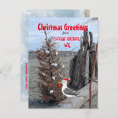 海ショアーズWAクリスマスシーガルビーチ流木 シーズンポストカード (正面/裏面)