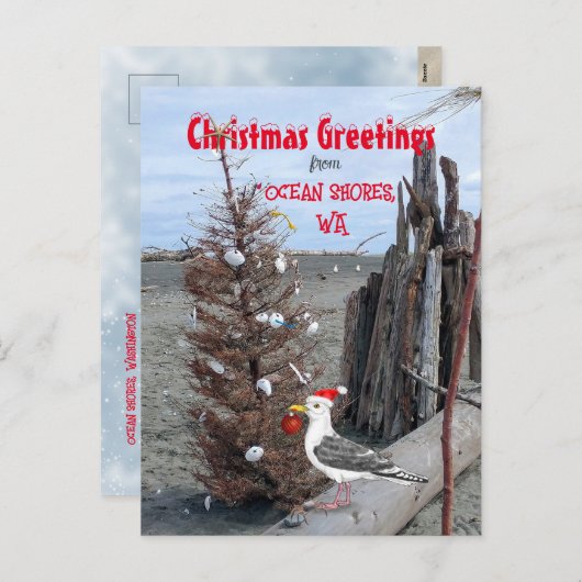 海ショアーズWAクリスマスシーガルビーチ流木 シーズンポストカード (正面/裏面)
