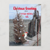 海ショアーズWAクリスマスシーガルビーチ流木 シーズンポストカード (正面)