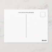 海ショアーズWAシーグルフライドフォーティングビーチ ポストカード (裏面)