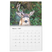 海ショアーズWA風光明媚なフォトカレンダー カレンダー (2月 2027)