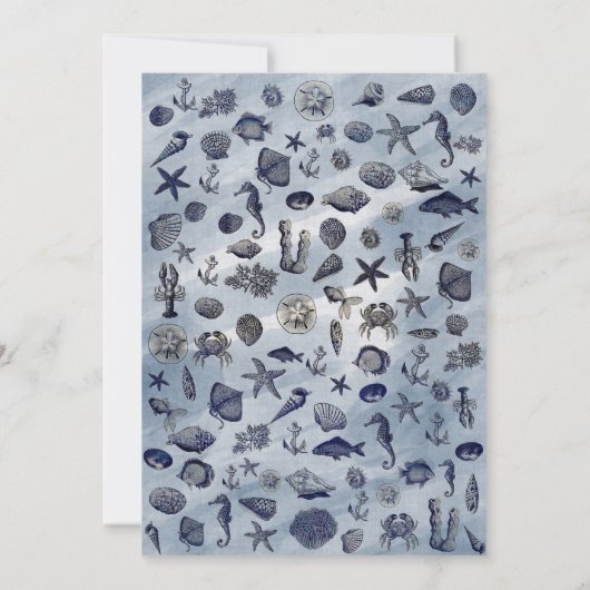 海シーライフ航海のシーシェルビーチ結婚式 招待状 (裏面)