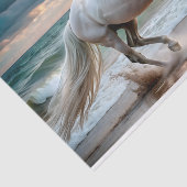 海スタリオンデコページ 薄葉紙 (詳細)