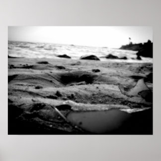 海ズエンブレイスB&W ポスター