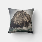 海センチネル クッション (正面)