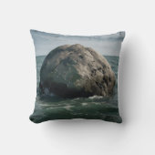 海センチネル クッション (正面)