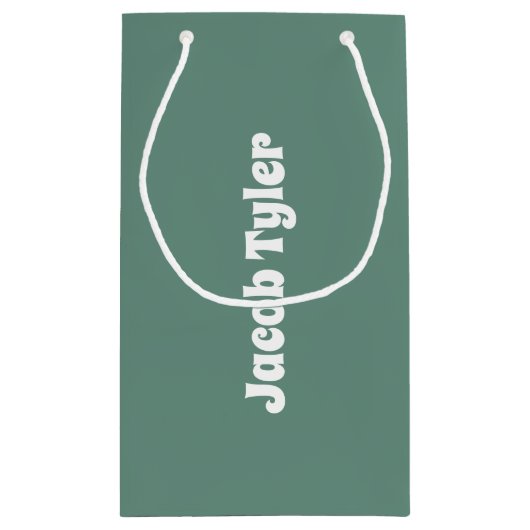 海ティール(緑がかった色)のカスタマイズ可能抱き枕 スモールペーパーバッグ (裏面)