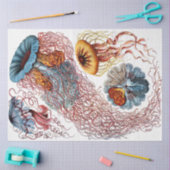 海ディスコメダエ8エルンストヘッケルデクページ 薄葉紙 (クラフト)