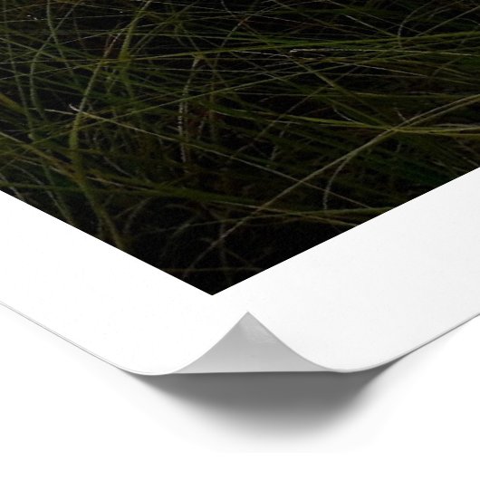 海デュネス ポスター (角)