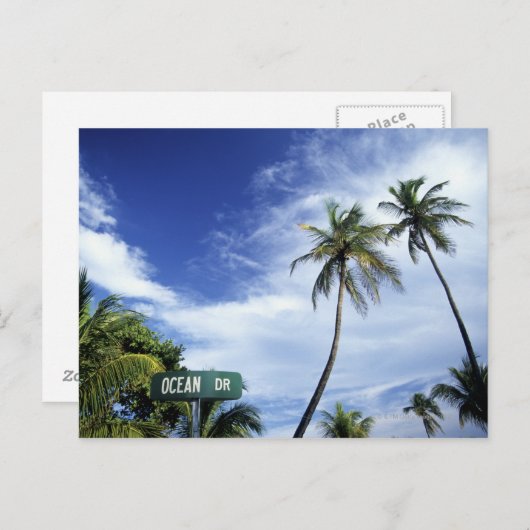 海ドライブの道路標識、南ビーチ、マイアミ、フローリド ポストカード (正面/裏面)