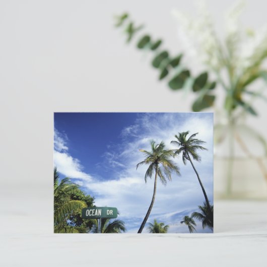 海ドライブの道路標識、南ビーチ、マイアミ、フローリド ポストカード (スタンド正面)