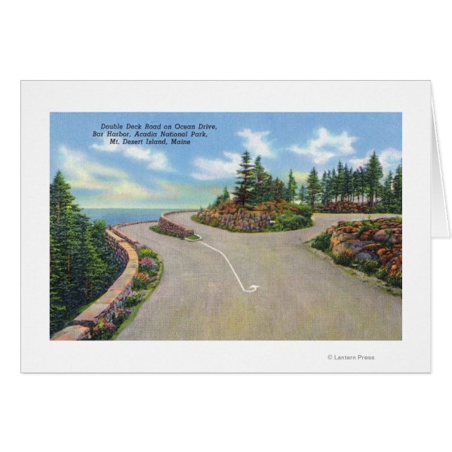 海ドライブダブルデッキロードビュー (正面横)