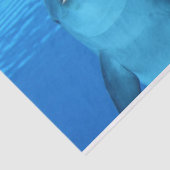 海ドルフィンティッシュペーパー 薄葉紙 (詳細)