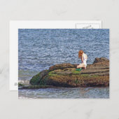 海ニンフ ポストカード (正面/裏面)