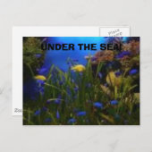 海ビュー海の下！ ポストカード (正面/裏面)