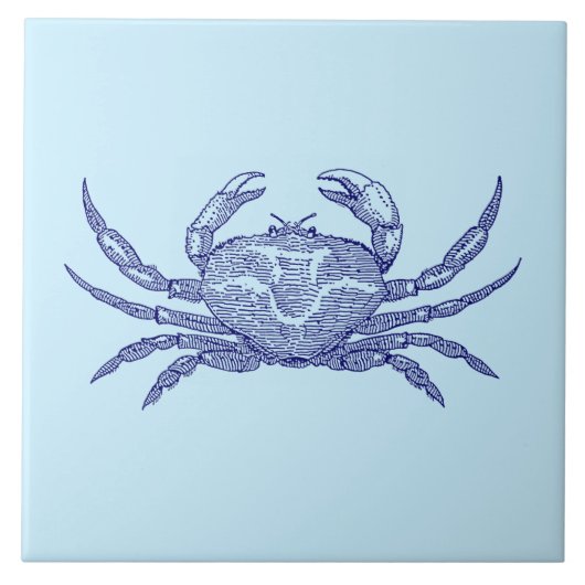 海ビーチカニ タイル (正面)