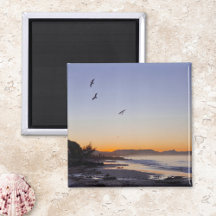 海ビーチサンセット