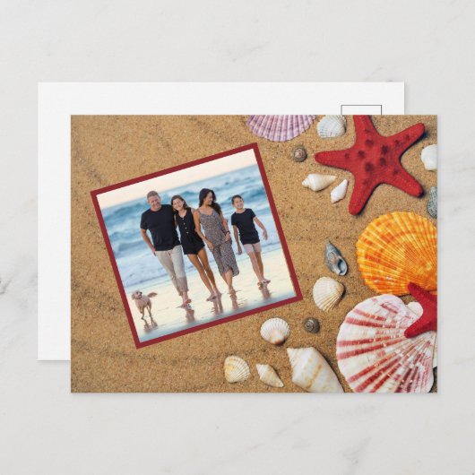 海ビーチバケーションスタフィッシュシーヘルズ写真 ポストカード (正面/裏面)