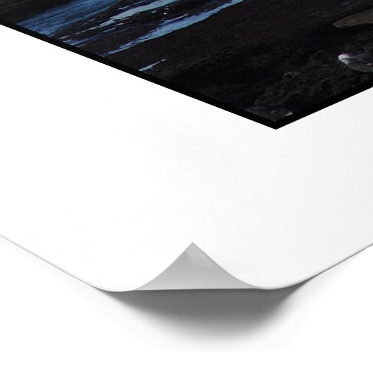 海ビーチピア ポスター (角)