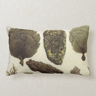 海ファンの航海のなデザインの海洋生物のLumbarの枕 ランバークッション