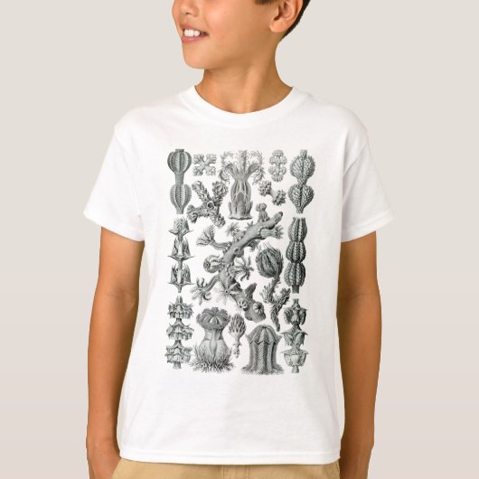 海ファン Tシャツ (正面)