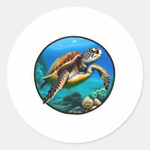 海フレンドリーで泳ぐウミガメ ラウンドシール