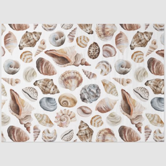 海ブリーズシリーズデザイン4 薄葉紙 (正面)