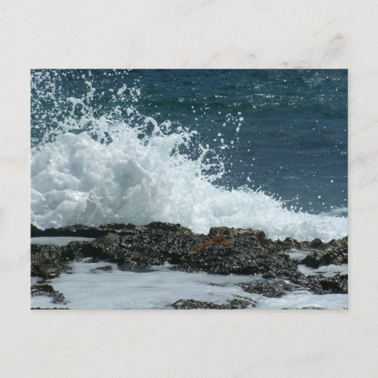 海ブルー/応答カード インビテーションポストカード (正面)