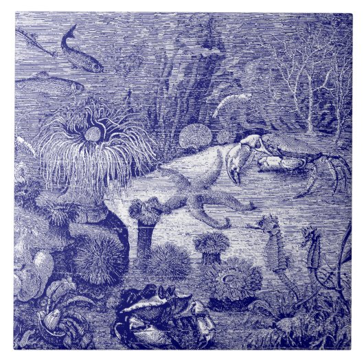 海マリンライフブルー&ホワイト タイル (正面)