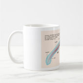 海ヤツメウナギ種の幼虫の図表 コーヒーマグカップ (左)