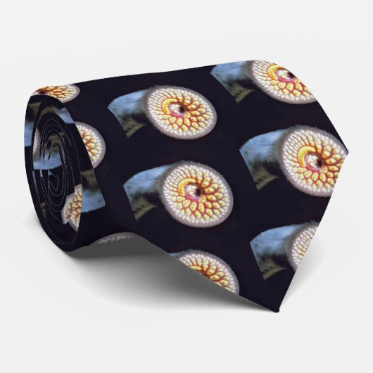 海ヤツメウナギ ネクタイ (ロール)