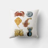 海ユニーク衆品揃えサンダー_コーブ クッション (裏面)