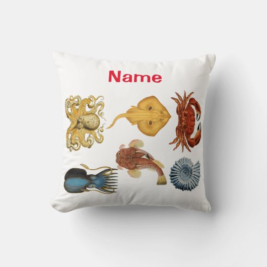 海ユニーク衆品揃えサンダー_コーブ クッション (正面)