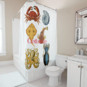 海ユニーク衆品揃えサンダー_コーブ シャワーカーテン (インサイチュ)