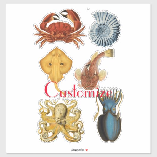 海ユニーク衆品揃えサンダー_コーブ シール (シート)