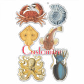 海ユニーク衆品揃えサンダー_コーブ シール (正面)