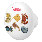 海ユニーク衆品揃えサンダー_コーブ セラミックノブ (右)