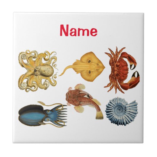 海ユニーク衆品揃えサンダー_コーブ タイル (正面)