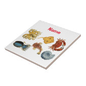 海ユニーク衆品揃えサンダー_コーブ タイル (側面)