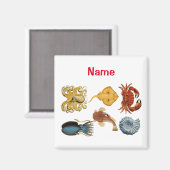 海ユニーク衆品揃えサンダー_コーブ マグネット (正面/裏面)