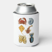 海ユニーク衆品揃えサンダー_コーブ 缶クーラー (缶裏面)