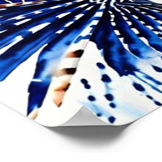 海ライオンズ ポスター (角)