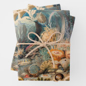 海ライフ絵画ヴィンテージと海の生き物 ラッピングペーパーシート (インサイチュ)