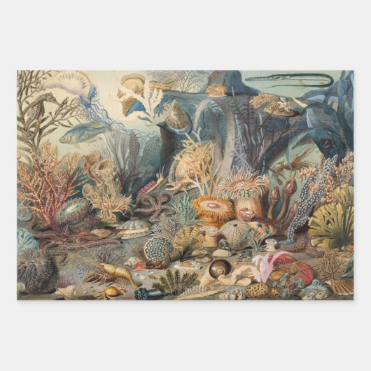 海ライフ絵画ヴィンテージと海の生き物 ラッピングペーパーシート (正面)