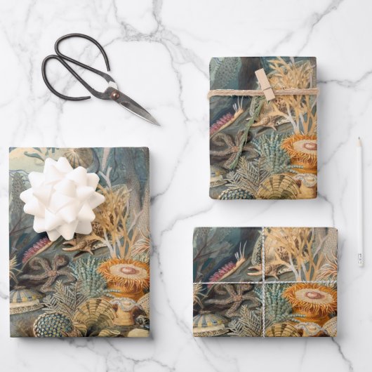 海ライフ絵画ヴィンテージと海の生き物 ラッピングペーパーシート (正面)